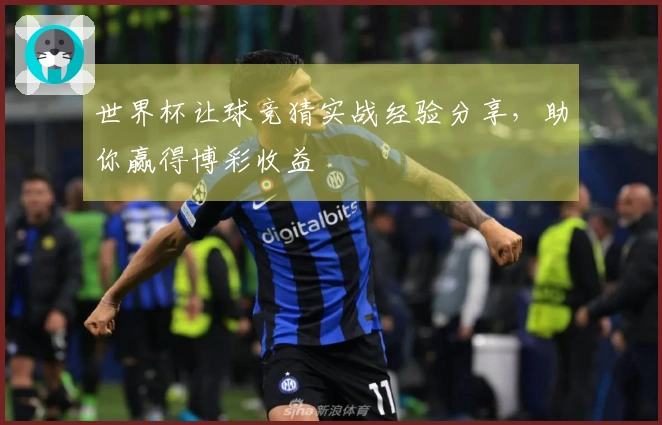世界杯让球竞猜实战经验分享，助你赢得博彩收益