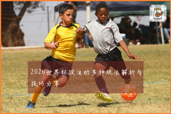 2026世界杯投注的多种玩法解析与技巧分享