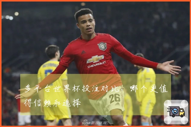 多平台世界杯投注对比，哪个更值得信赖和选择
