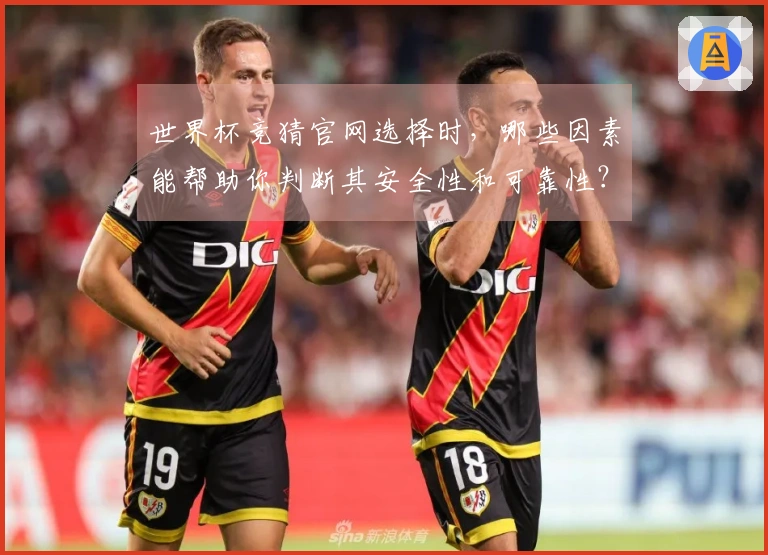 世界杯竞猜官网选择时，哪些因素能帮助你判断其安全性和可靠性？