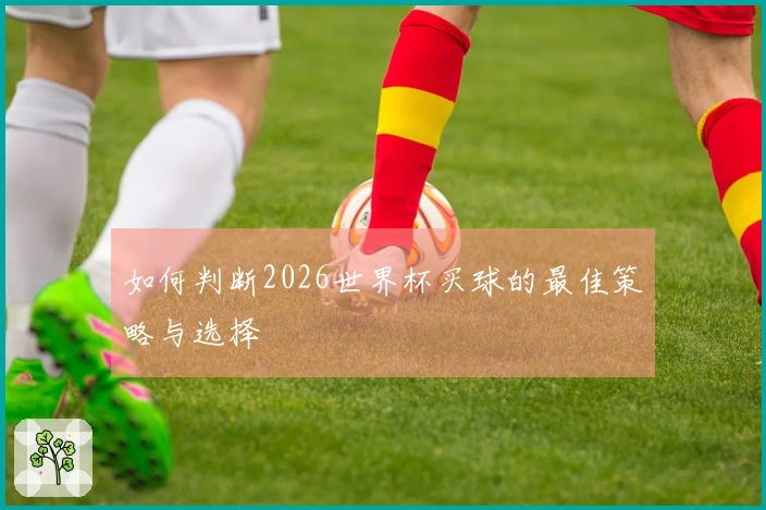 如何判断2026世界杯买球的最佳策略与选择