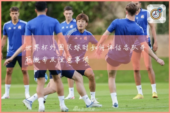 世界杯外围买球时如何评估各队夺冠概率及注意事项