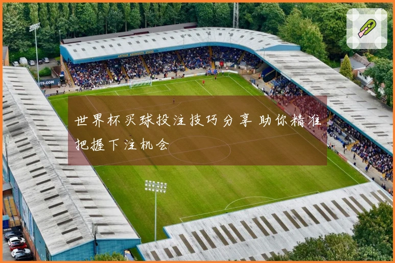 世界杯买球投注技巧分享 助你精准把握下注机会