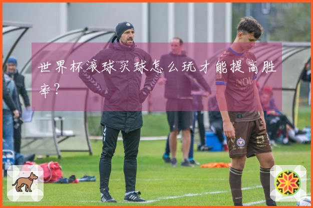 世界杯滚球买球怎么玩才能提高胜率？