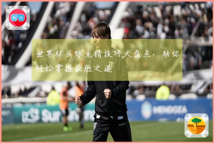 世界杯买球竞猜技巧大盘点，助你轻松掌握获胜之道