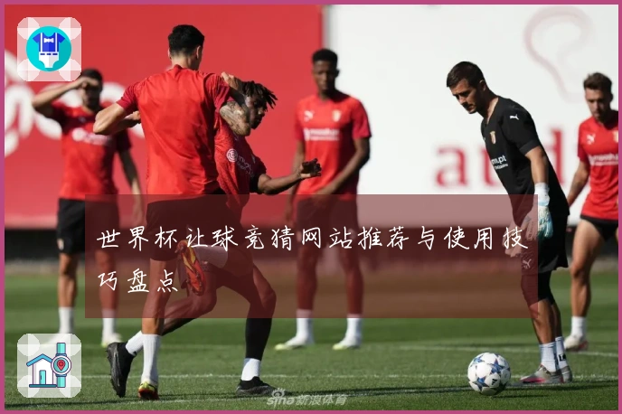 世界杯让球竞猜网站推荐与使用技巧盘点