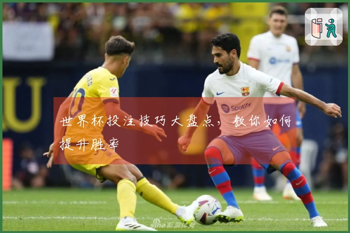 世界杯投注技巧大盘点，教你如何提升胜率