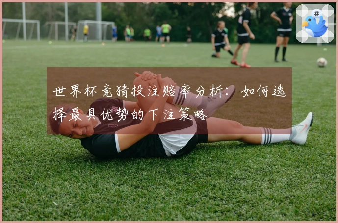 世界杯竞猜投注赔率分析：如何选择最具优势的下注策略