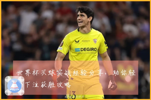 世界杯买球实战经验分享，助你轻松下注获胜攻略