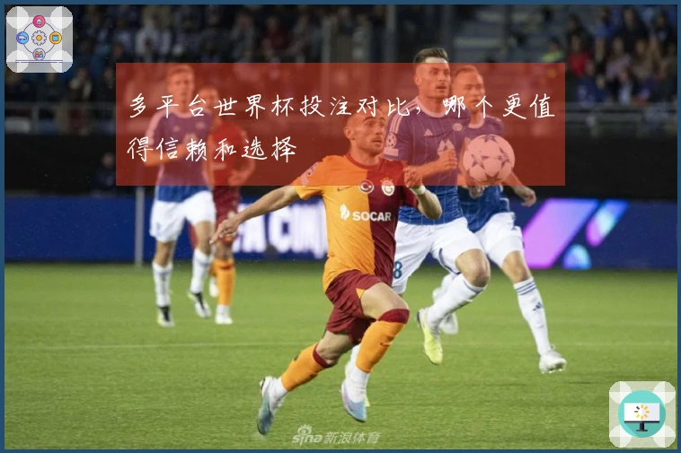 多平台世界杯投注对比，哪个更值得信赖和选择