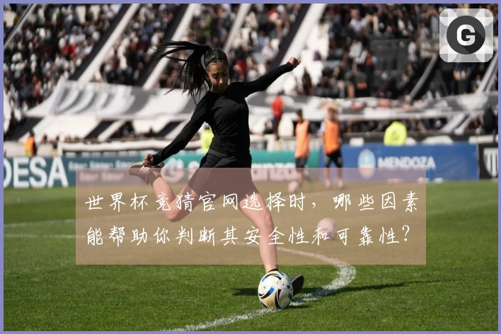 世界杯竞猜官网选择时，哪些因素能帮助你判断其安全性和可靠性？