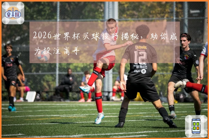 2026世界杯买球技巧揭秘，助你成为投注高手