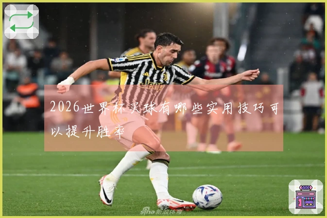 2026世界杯买球有哪些实用技巧可以提升胜率