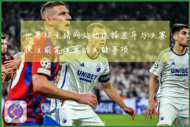 世界杯竞猜网站的选择差异与决赛投注前需注意的关键事项