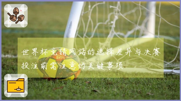 世界杯竞猜网站的选择差异与决赛投注前需注意的关键事项
