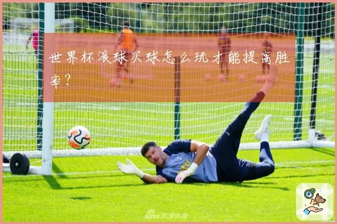 世界杯滚球买球怎么玩才能提高胜率？