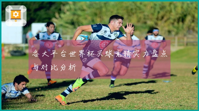 各大平台世界杯买球竞猜实力盘点与对比分析