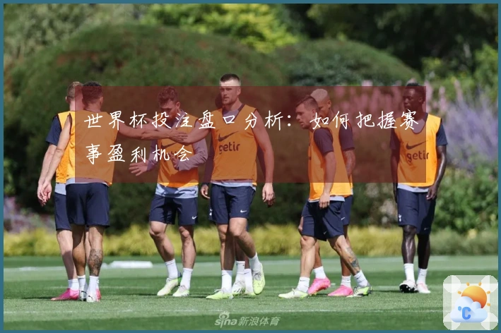 世界杯投注盘口分析：如何把握赛事盈利机会