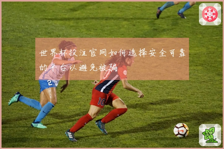 世界杯投注官网如何选择安全可靠的平台以避免被骗